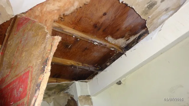 Choate Renovation by Chappell Contracting & Development - Photo 6