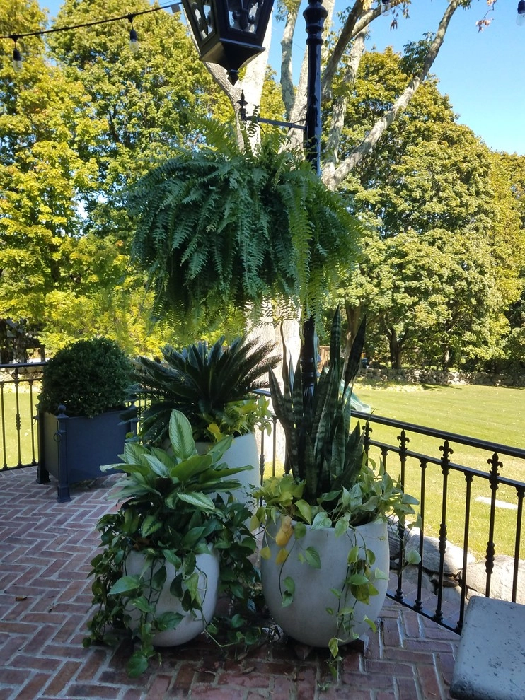 Patio Planters by Bolton Landscape Design & Masonry Inc - Photo 8