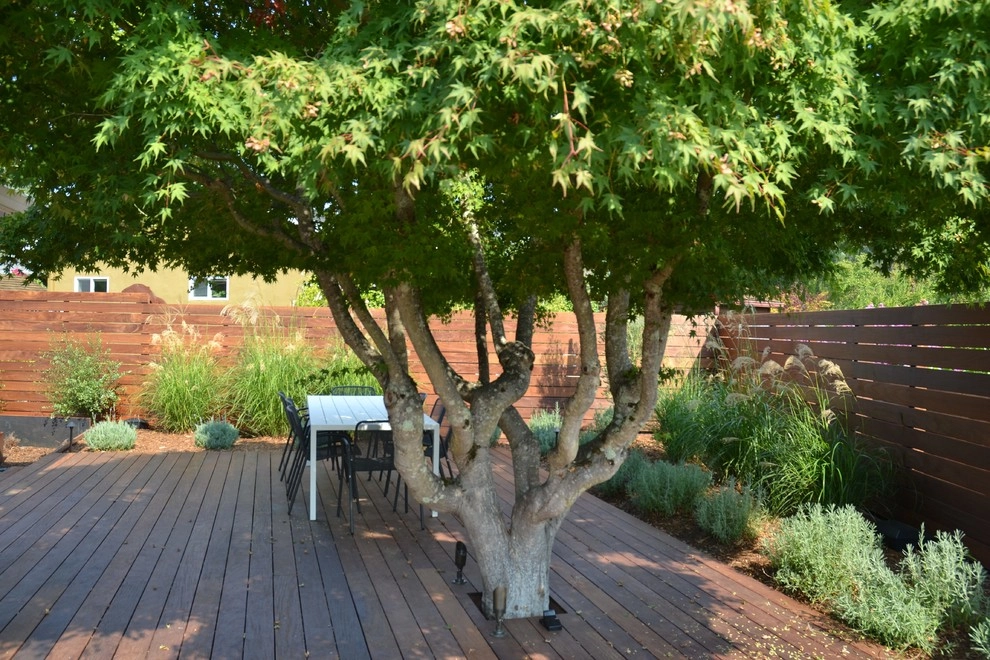 Sincliar Residence by Bon Terra Landscapes Inc. - Photo 3