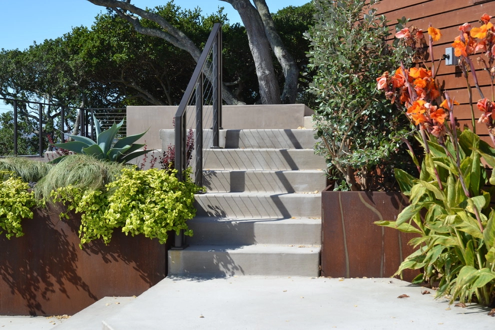 Modern San Rafael, CA by Bon Terra Landscapes Inc. - Photo 5