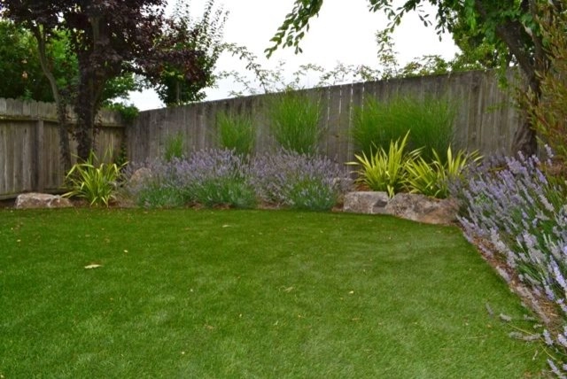 Modern Tiburon Backyard by Bon Terra Landscapes Inc. - Photo 10