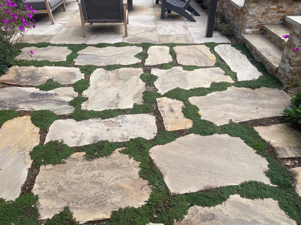 Corte Madera Hillside Rear Garden by Bon Terra Landscapes Inc. - Photo 3