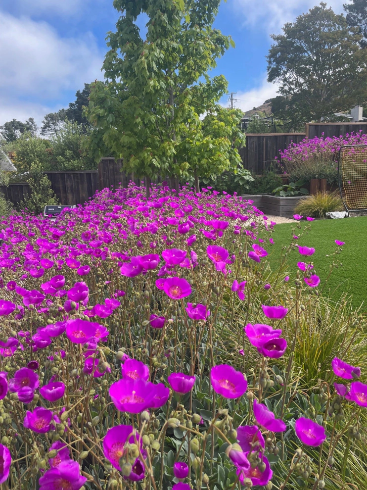 Corte Madera Hillside Rear Garden by Bon Terra Landscapes Inc. - Photo 8