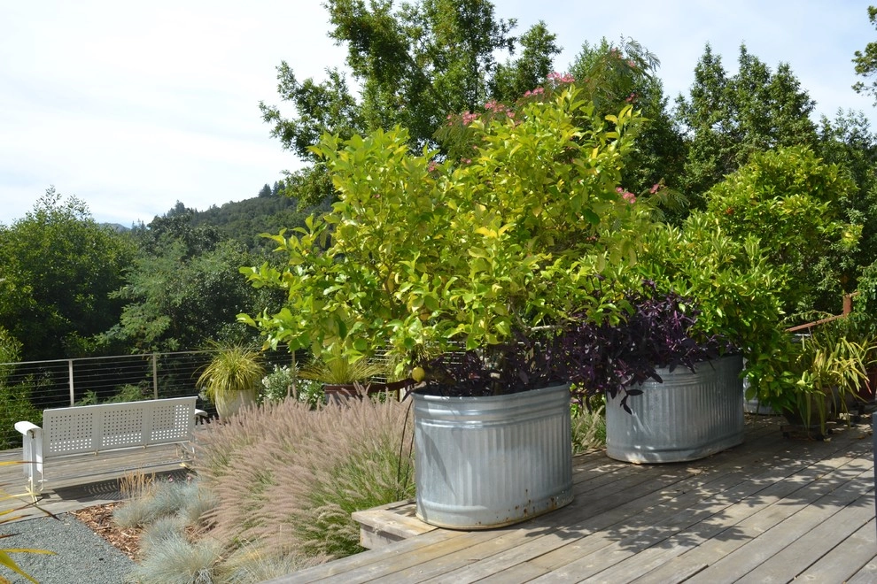 Fairfax Hideaway by Bon Terra Landscapes Inc. - Photo 10