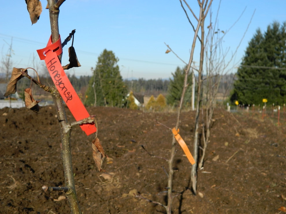 Permaculture/Farms by Borealis Landscape & Design DBA Skipley Farm - Photo 3