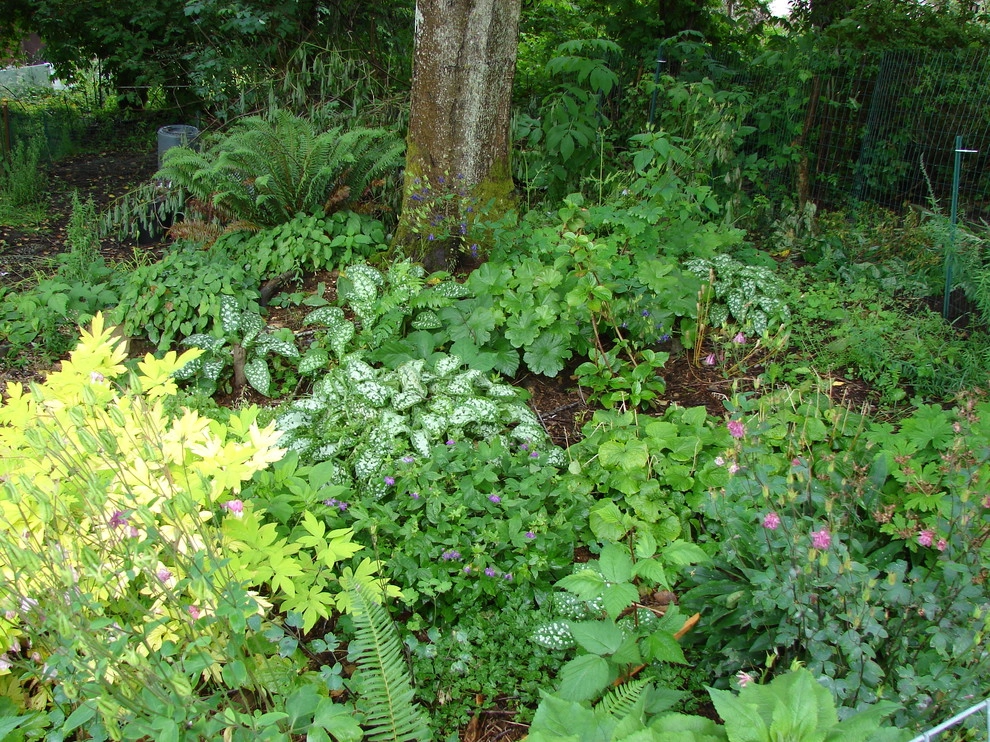 Permaculture/Farms by Borealis Landscape & Design DBA Skipley Farm - Photo 16