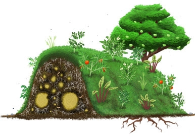 Permaculture/Farms by Borealis Landscape & Design DBA Skipley Farm - Photo 36