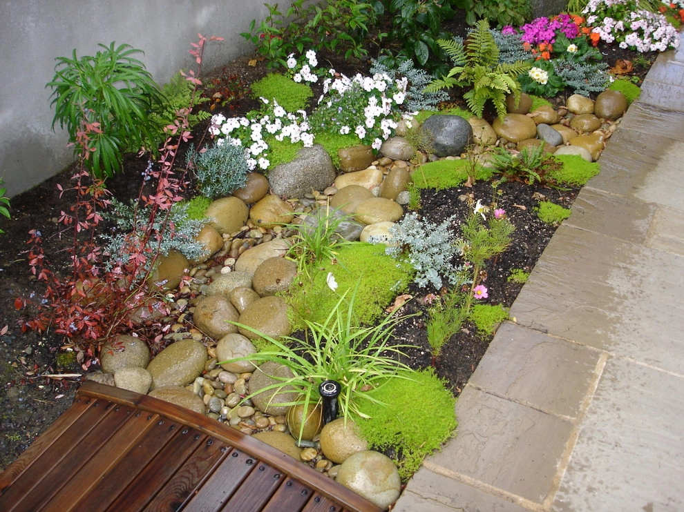 Waterfront Updates - Richmond Beach, WA by Borealis Landscape & Design DBA Skipley Farm - Photo 18