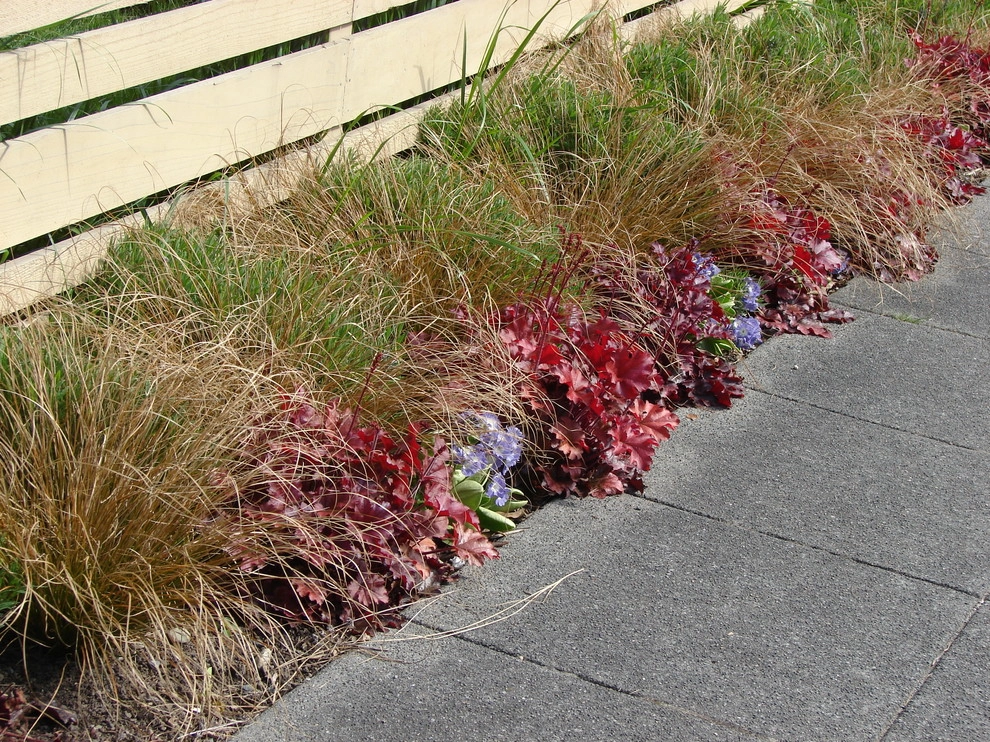 Northwest Contemporary Yard - Green Lake, Seattle by Borealis Landscape & Design DBA Skipley Farm - Photo 7