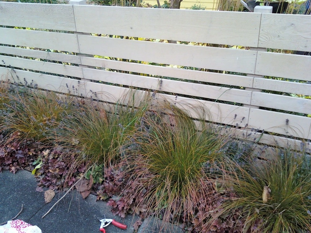 Northwest Contemporary Yard - Green Lake, Seattle by Borealis Landscape & Design DBA Skipley Farm - Photo 6