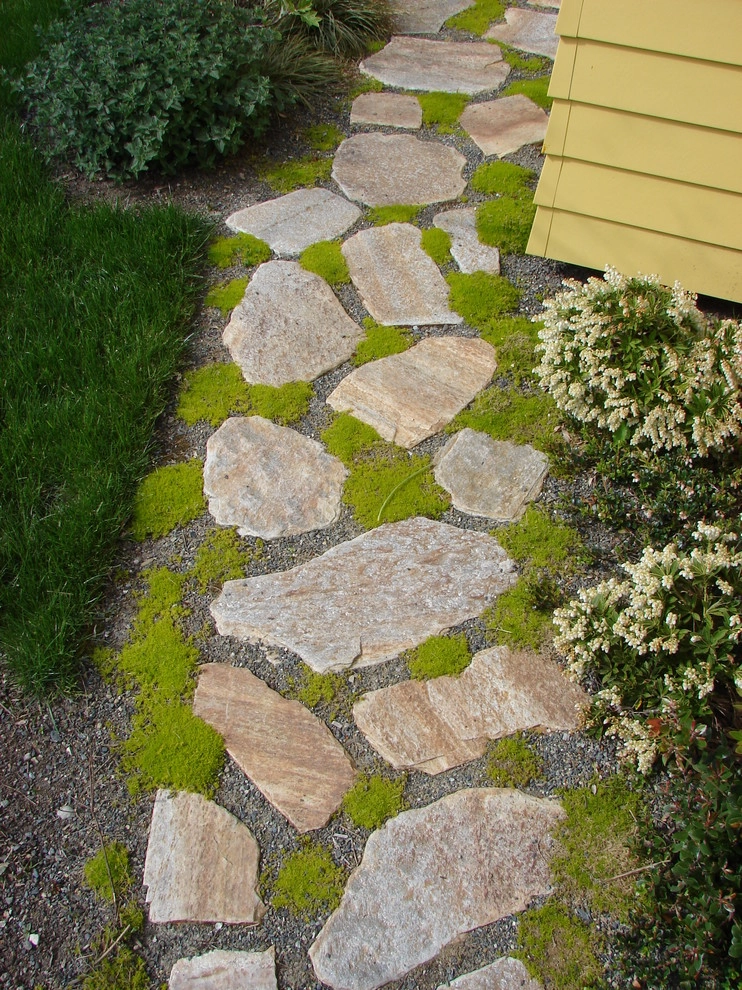 Northwest Contemporary Yard - Green Lake, Seattle by Borealis Landscape & Design DBA Skipley Farm - Photo 8