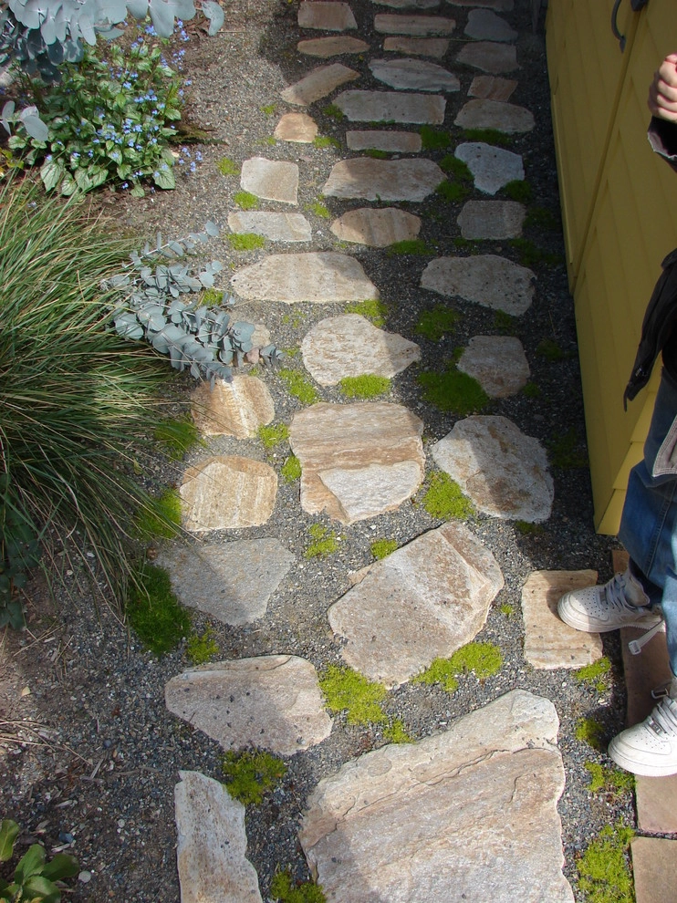 Northwest Contemporary Yard - Green Lake, Seattle by Borealis Landscape & Design DBA Skipley Farm - Photo 10