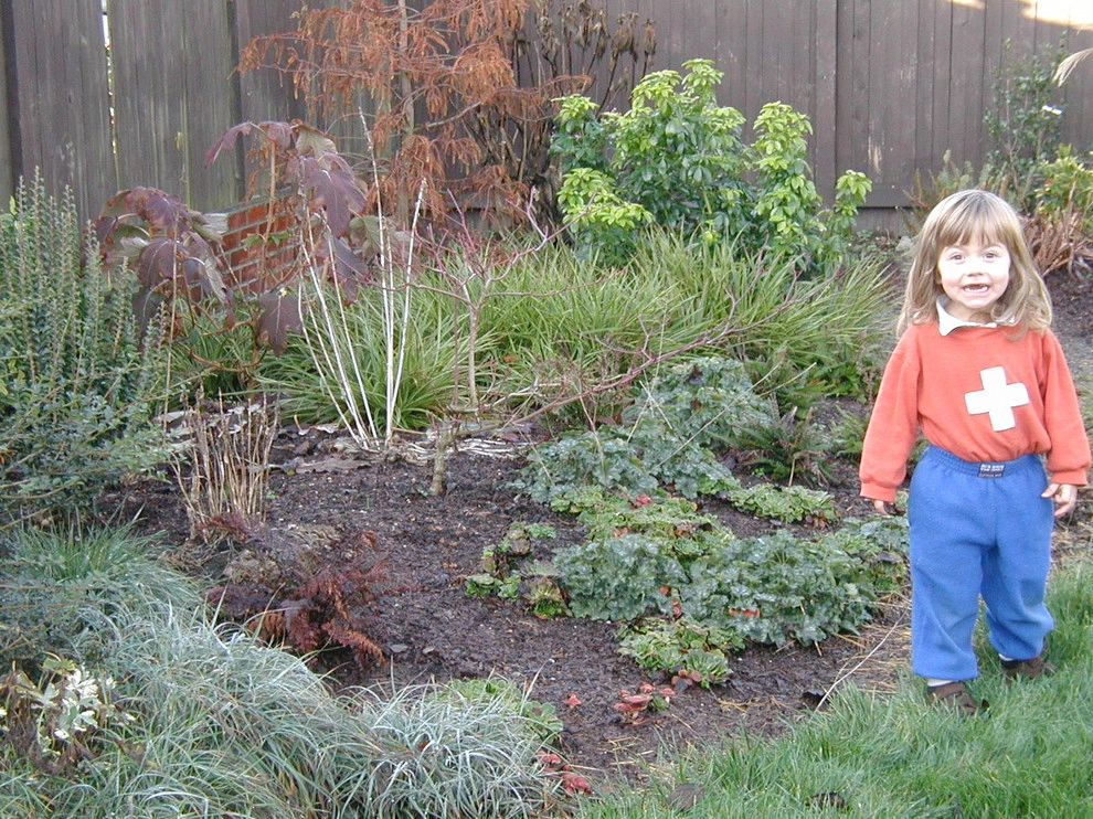 Full Front & Back Landscape - Ballard, Seattle by Borealis Landscape & Design DBA Skipley Farm - Photo 12