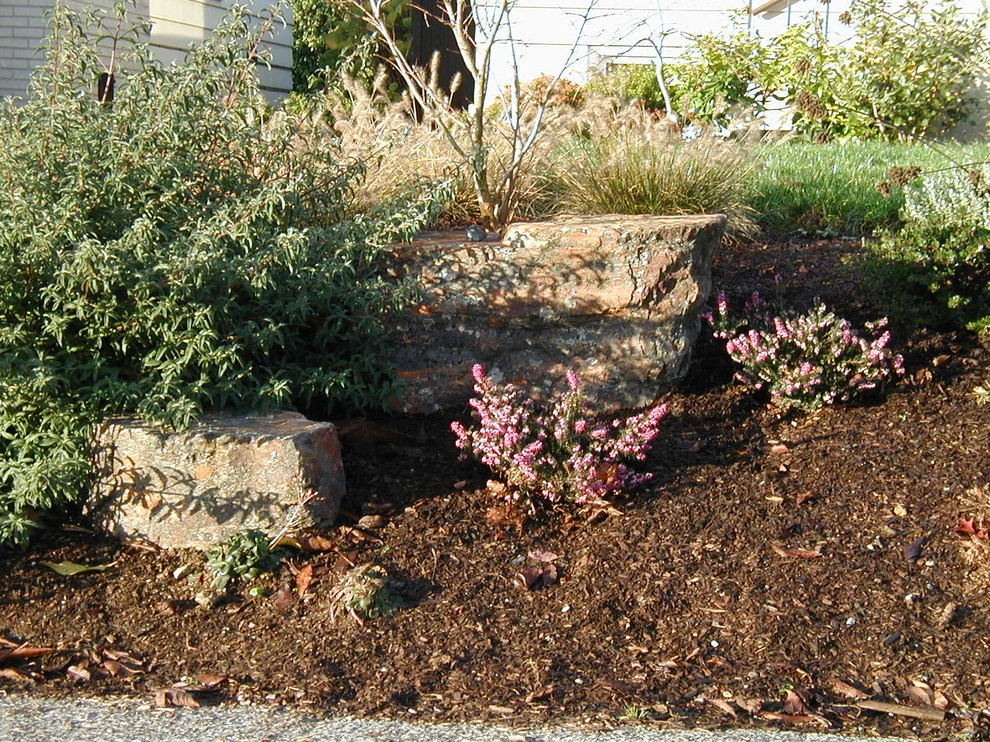 Full Front & Back Landscape - Ballard, Seattle by Borealis Landscape & Design DBA Skipley Farm - Photo 10
