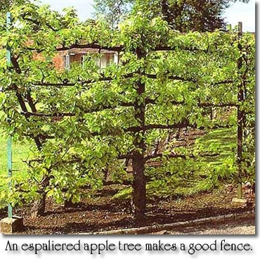 Permaculture/Farms by Borealis Landscape & Design DBA Skipley Farm - Photo 12
