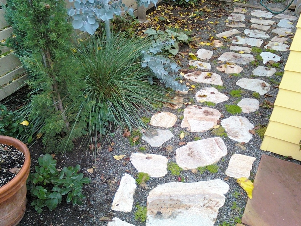 Northwest Contemporary Yard - Green Lake, Seattle by Borealis Landscape & Design DBA Skipley Farm - Photo 3