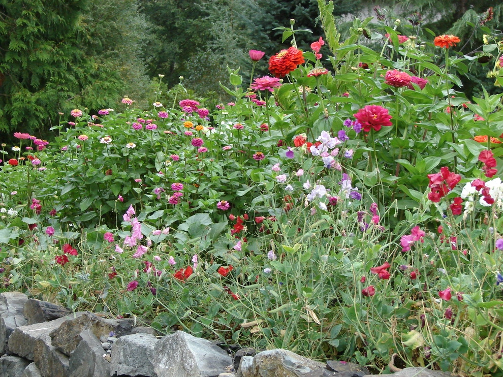 Permaculture/Farms by Borealis Landscape & Design DBA Skipley Farm - Photo 44