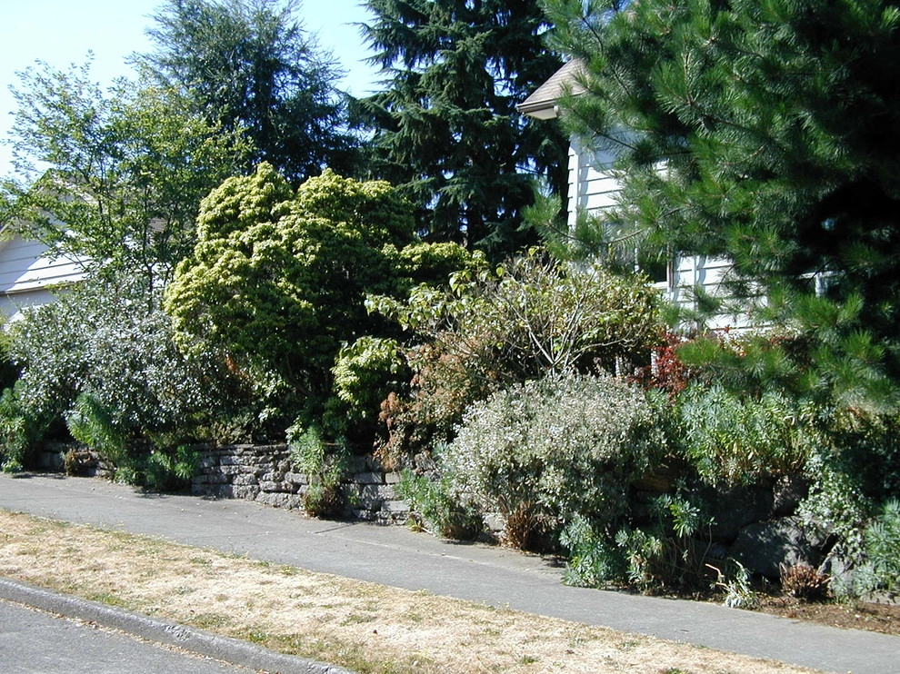 Foliage & Steps - Woodland Park, Seattle by Borealis Landscape & Design DBA Skipley Farm - Photo 4