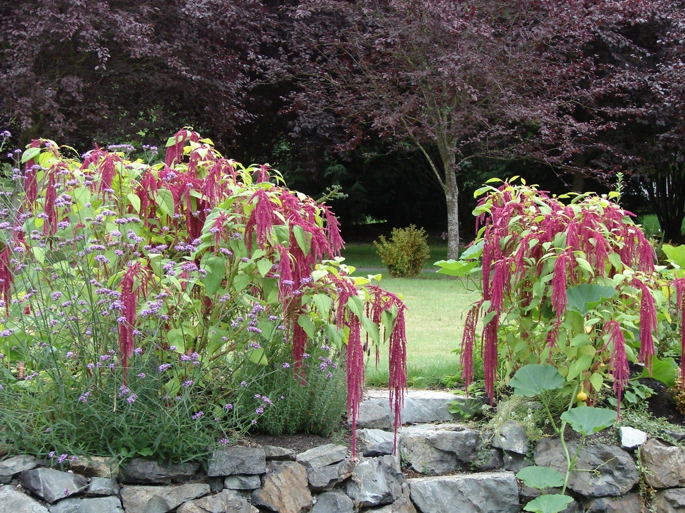 Permaculture/Farms by Borealis Landscape & Design DBA Skipley Farm - Photo 27
