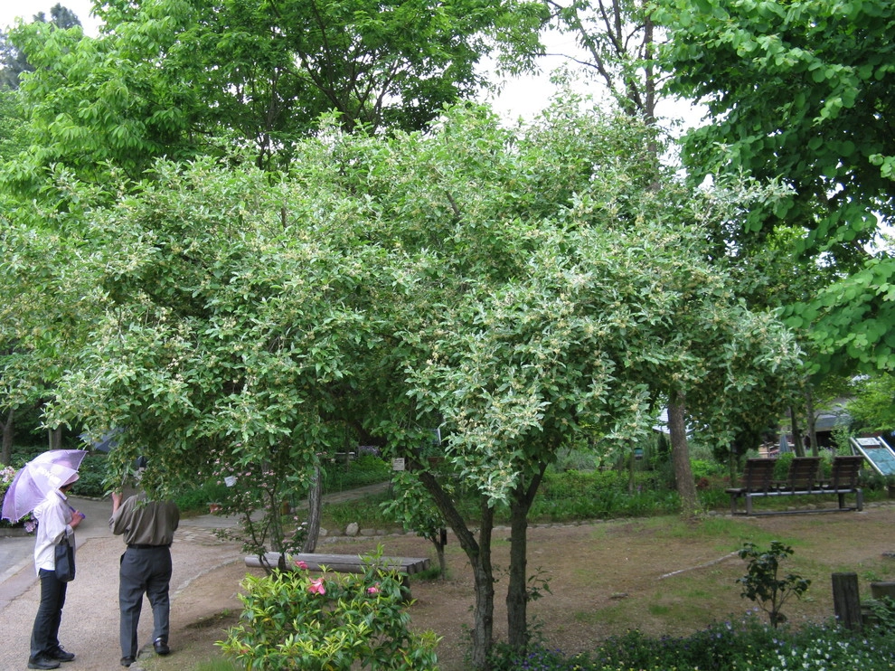Permaculture/Farms by Borealis Landscape & Design DBA Skipley Farm - Photo 23