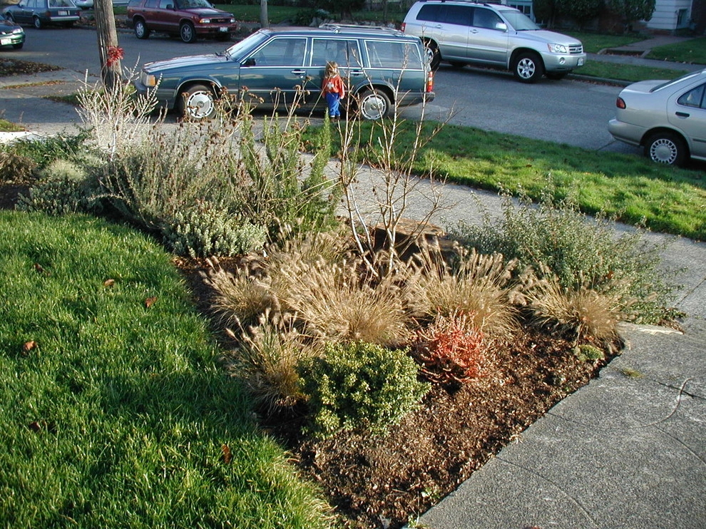 Full Front & Back Landscape - Ballard, Seattle by Borealis Landscape & Design DBA Skipley Farm - Photo 7