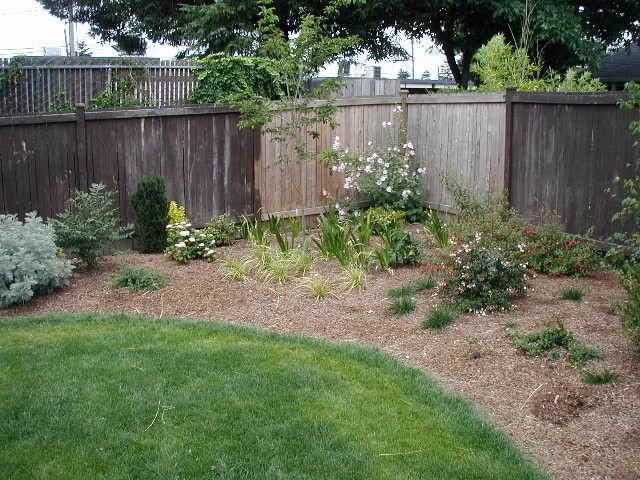 Full Front & Back Landscape - Ballard, Seattle by Borealis Landscape & Design DBA Skipley Farm - Photo 3