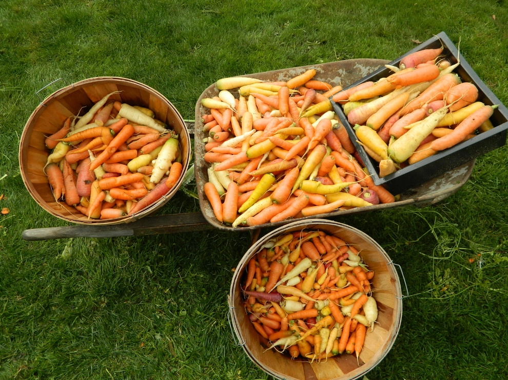 Permaculture/Farms by Borealis Landscape & Design DBA Skipley Farm - Photo 13