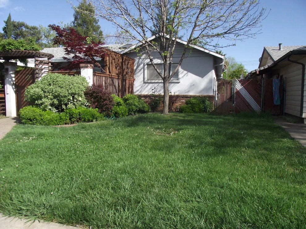 Turf removal by Brio Landscaping - Photo 3