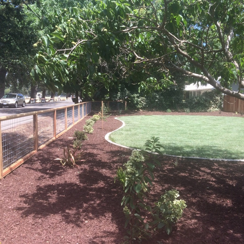 Front yard Installation by Brio Landscaping - Photo 5