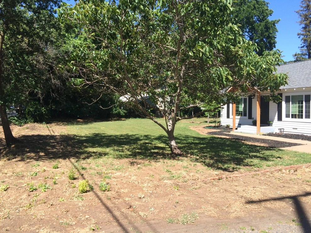 Brio Landscaping - Photo 10