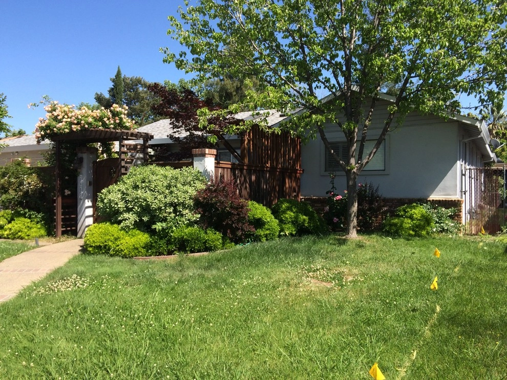 Turf removal by Brio Landscaping - Photo 2