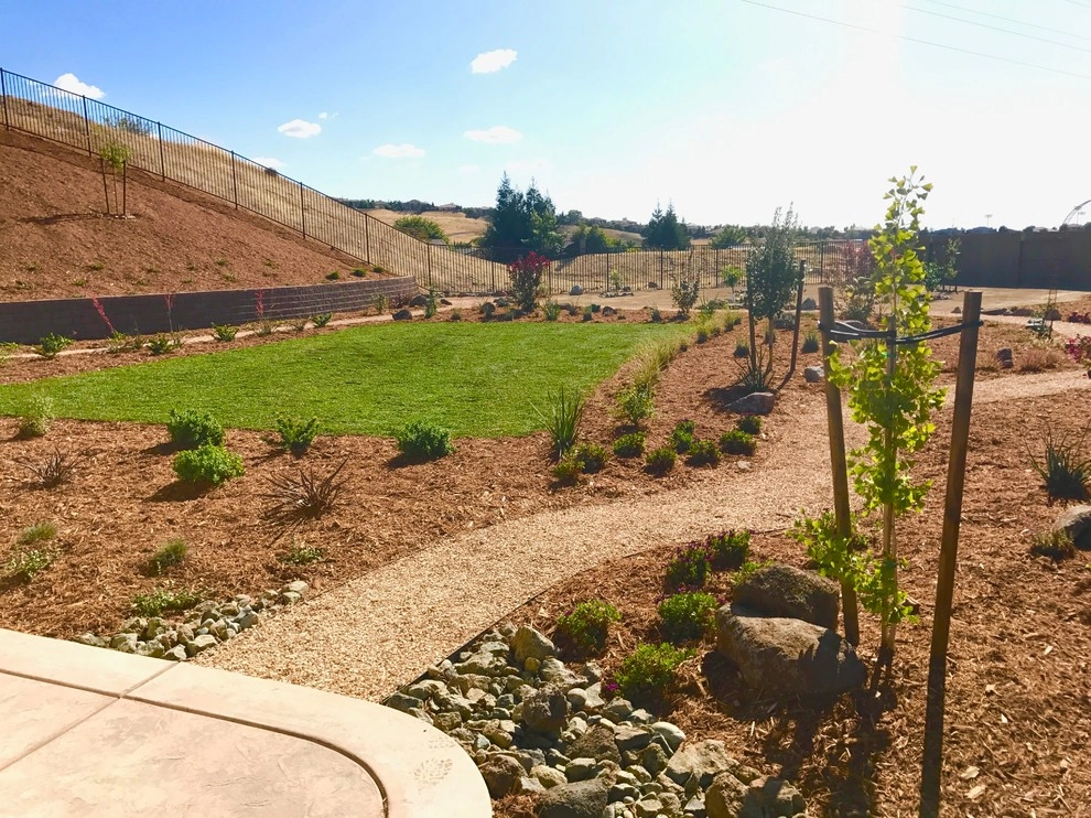 Complete back yard install by Brio Landscaping - Photo 4