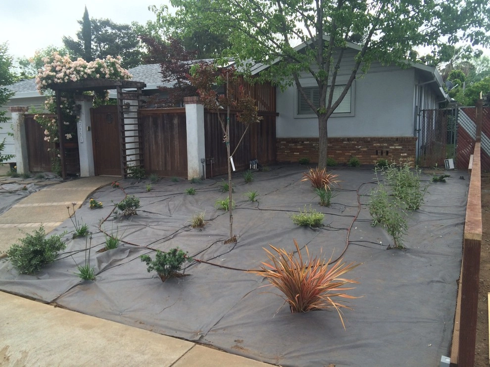 Turf removal by Brio Landscaping - Photo 5