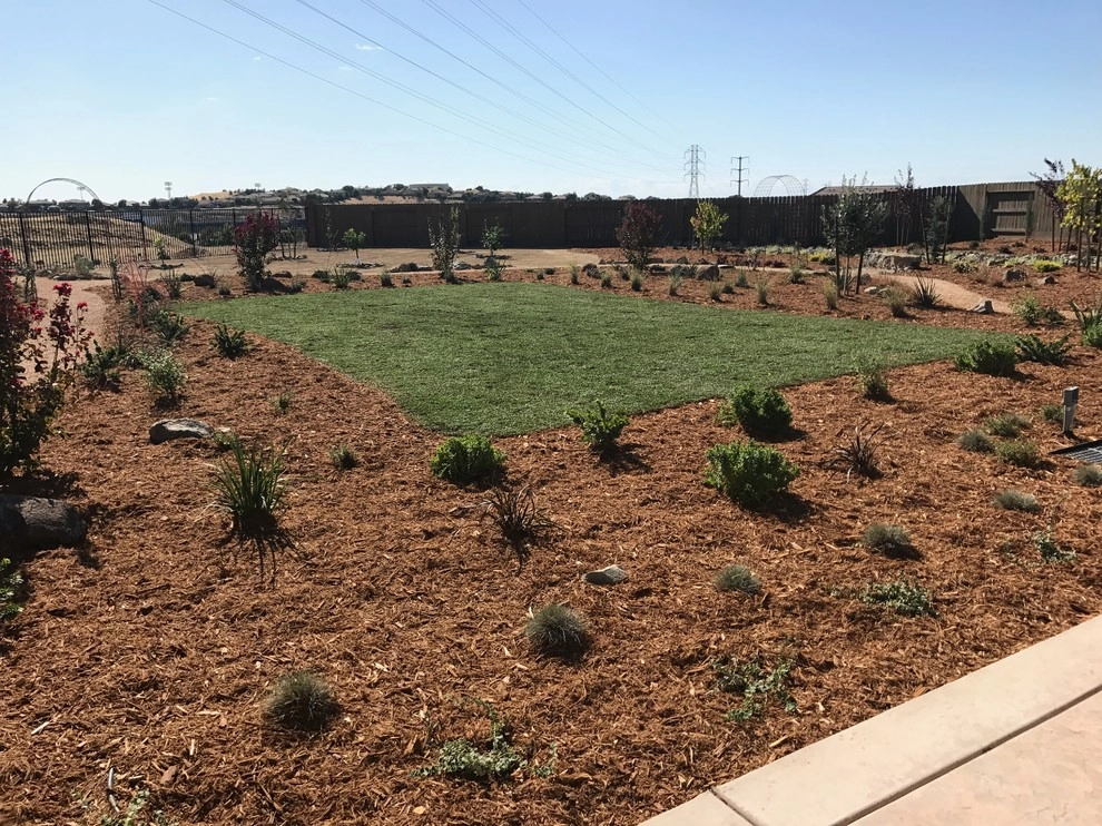 Complete back yard install by Brio Landscaping - Photo 5
