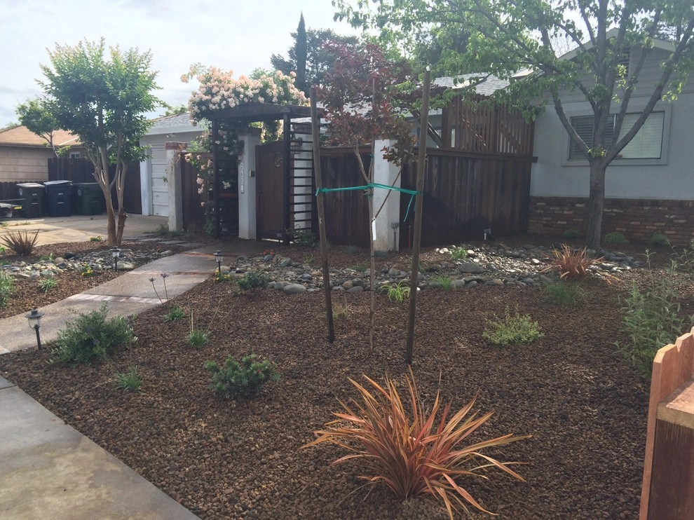 Turf removal by Brio Landscaping - Photo 4