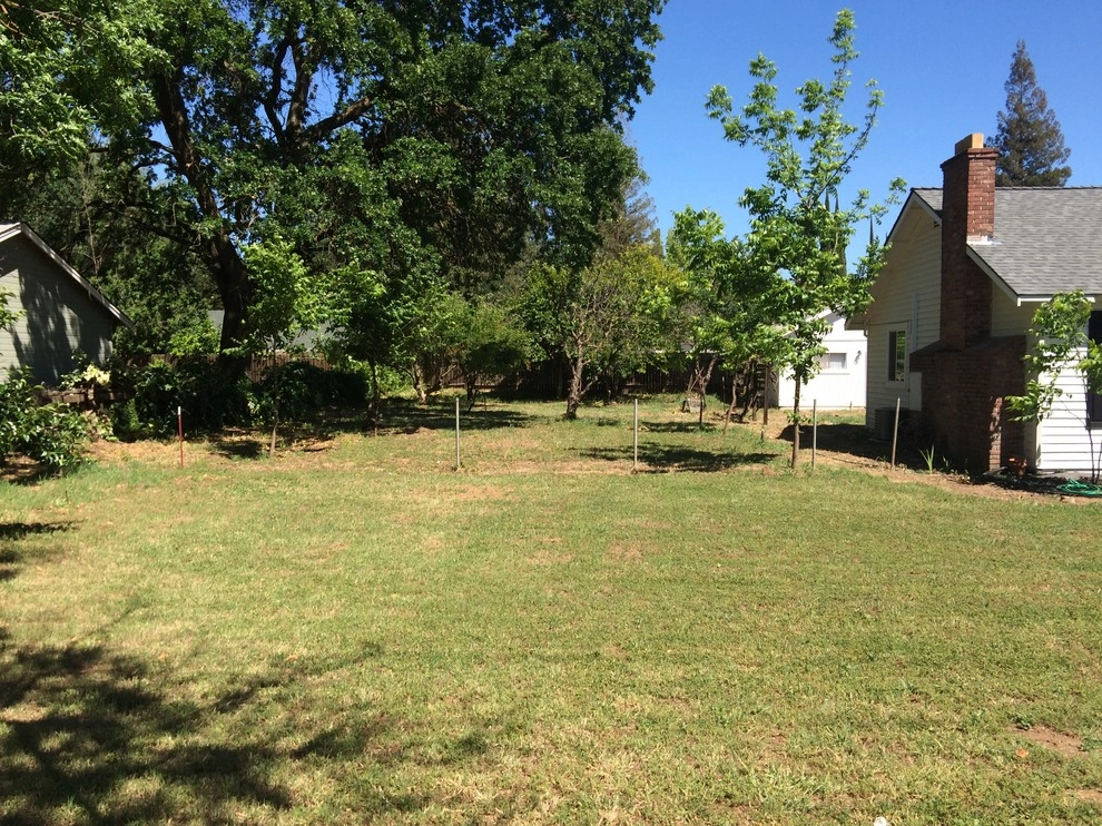 Front yard Installation by Brio Landscaping - Photo 4