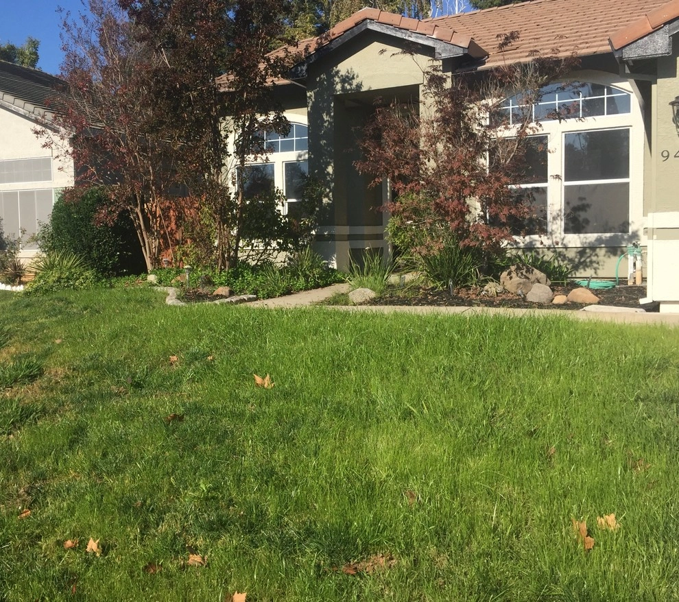 Front yard turf removal and landscape enhancement by Brio Landscaping - Photo 2