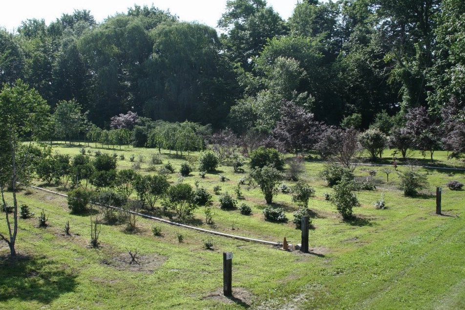 Brochu Nurseries Landscaping & Garden Center - Photo 8