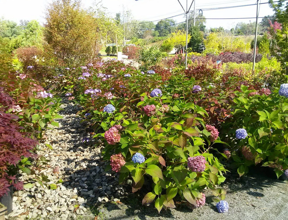 Brochu Nurseries Landscaping & Garden Center - Photo 2