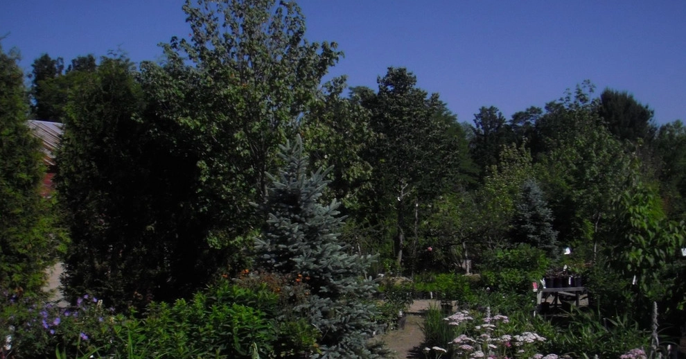 Brochu Nurseries Landscaping & Garden Center - Photo 7