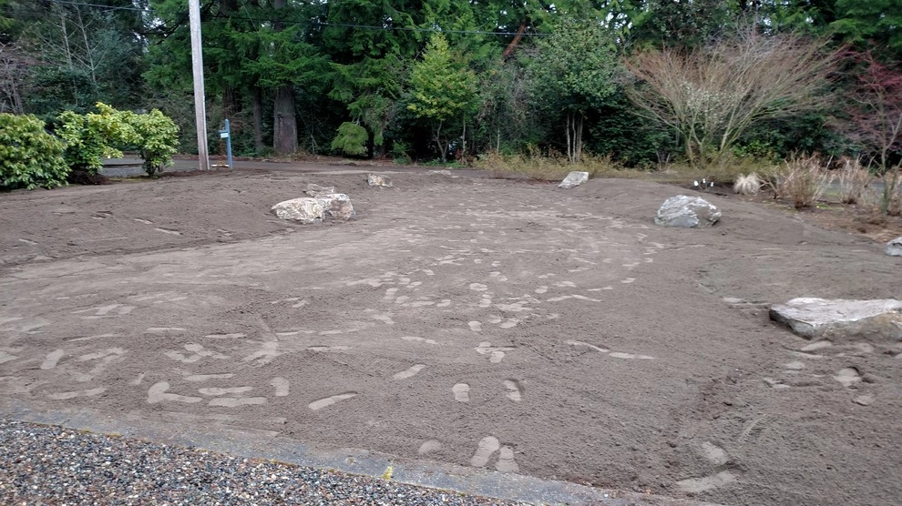 Bremerton Lawn Replacement by Brookside Landscape And Design - Photo 3