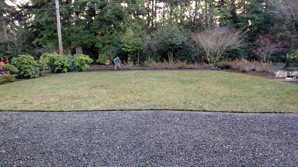 Bremerton Lawn Replacement by Brookside Landscape And Design - Photo 4