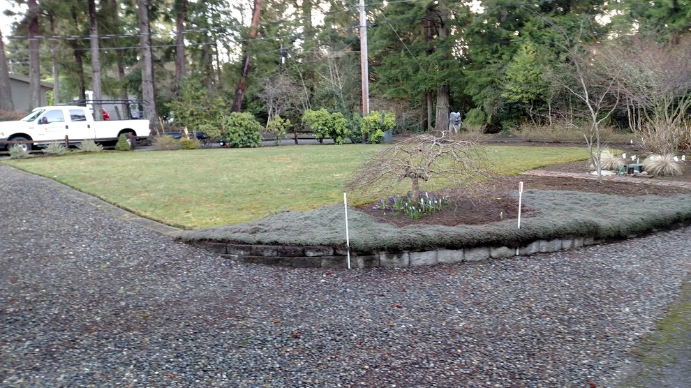 Bremerton Lawn Replacement by Brookside Landscape And Design - Photo 7