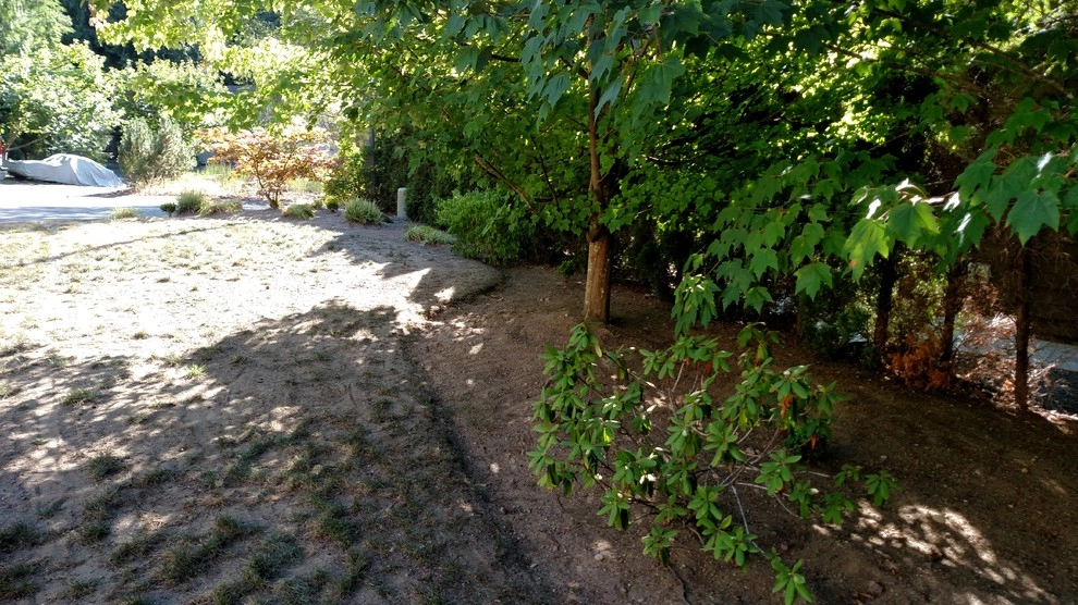 Landscape Bed Renovation Silverdale WA by Brookside Landscape And Design - Photo 6