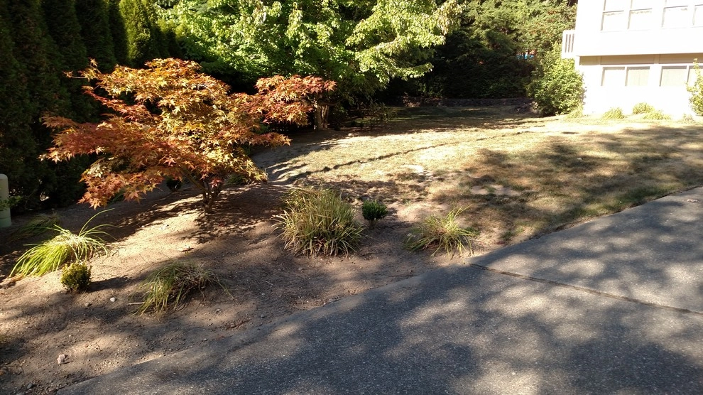Landscape Bed Renovation Silverdale WA by Brookside Landscape And Design - Photo 7