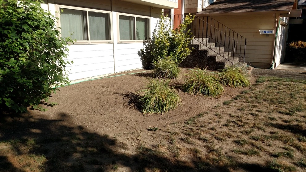 Landscape Bed Renovation Silverdale WA by Brookside Landscape And Design - Photo 4