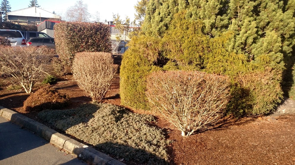 Trew Auto Body by Brookside Landscape And Design - Photo 3