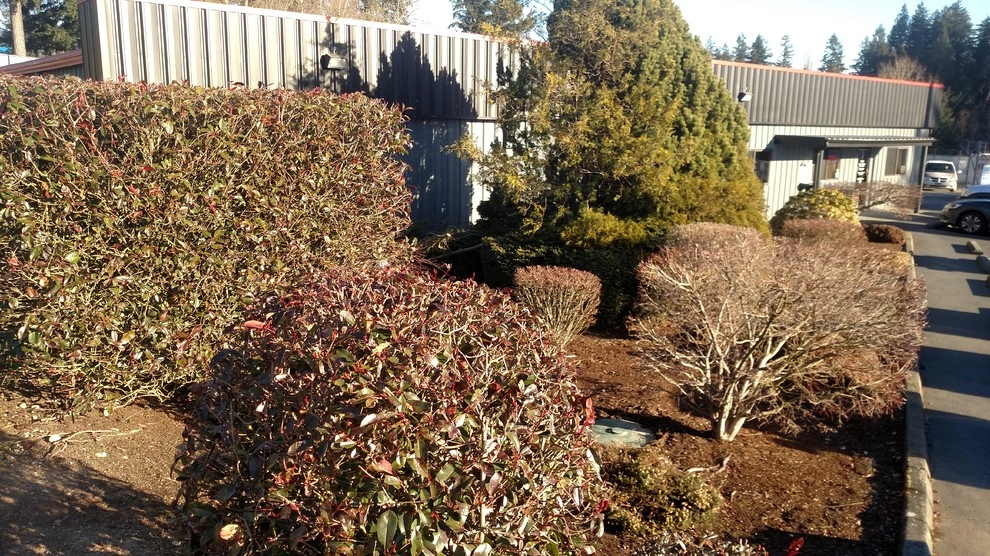 Trew Auto Body by Brookside Landscape And Design - Photo 5