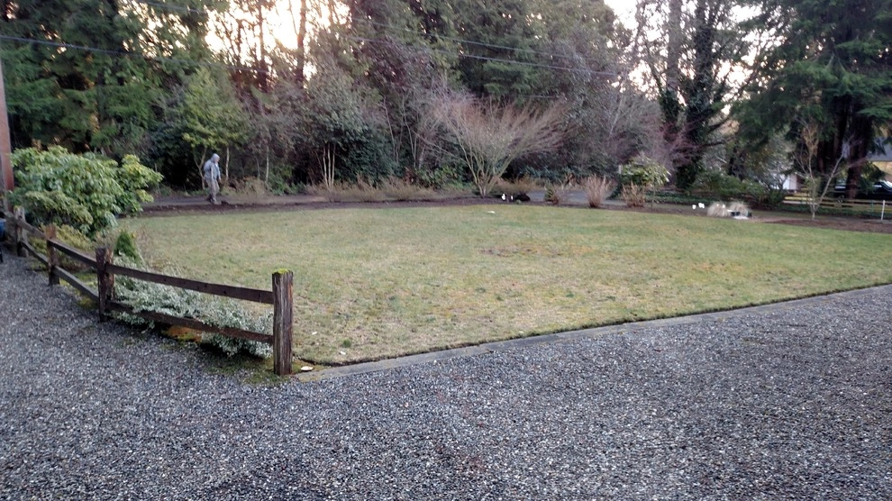 Bremerton Lawn Replacement by Brookside Landscape And Design - Photo 9