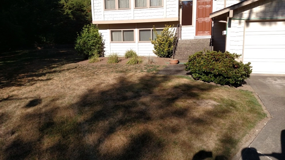 Landscape Bed Renovation Silverdale WA by Brookside Landscape And Design - Photo 5